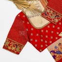 Red blouse with peacock and vertical line