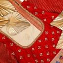Red blouse with peacock and vertical line