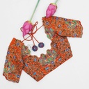 Orange peacock and creeper design blouse